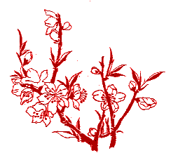 chinese flower pattern